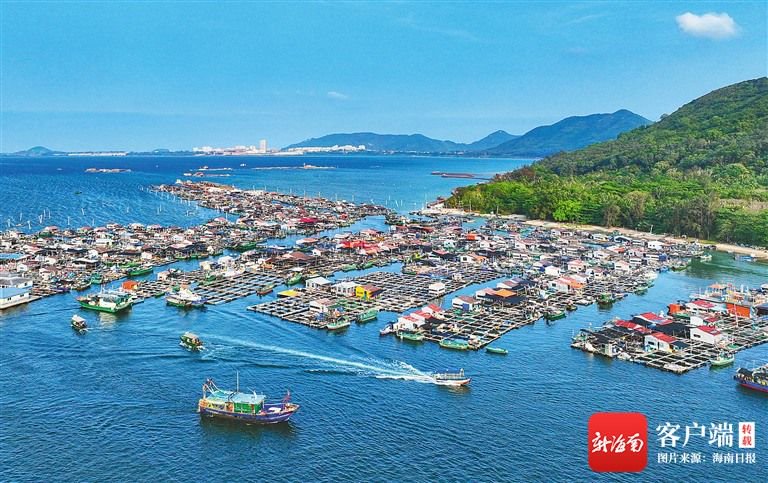 陵水新村镇疍家渔排.海南日报记者 王程龙 摄