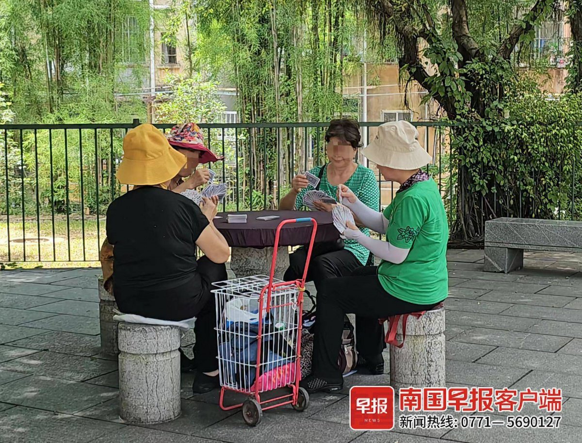 几名老年人在南宁市人民公园一角休闲娱乐.记者 刘冬莲 摄