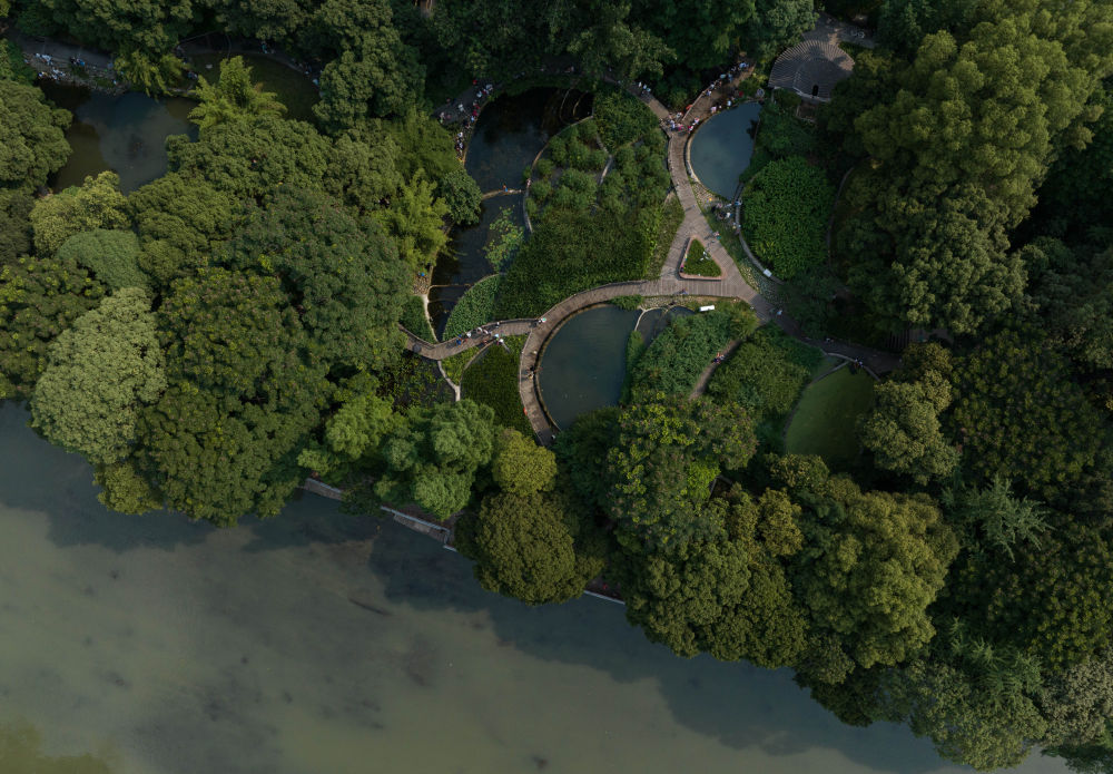 俯瞰活水公园的人工湿地塘床生态系统.新华社记者江宏景摄