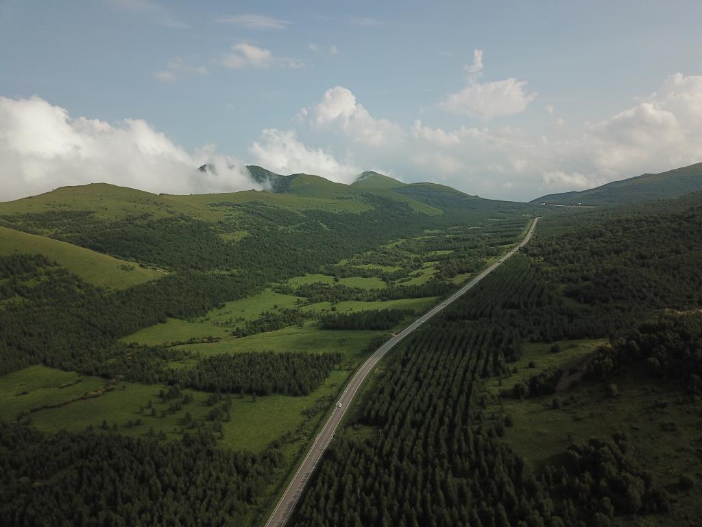 承德丰宁满族自治县千松坝林场的高质量森林(无人机照片).王立群 摄