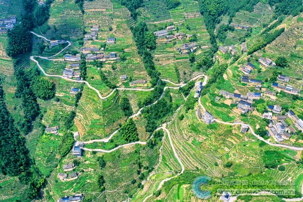 供图□夏小林"街口进街源,只见青山不见田",安徽蜈蚣岭梯田位于黄山市