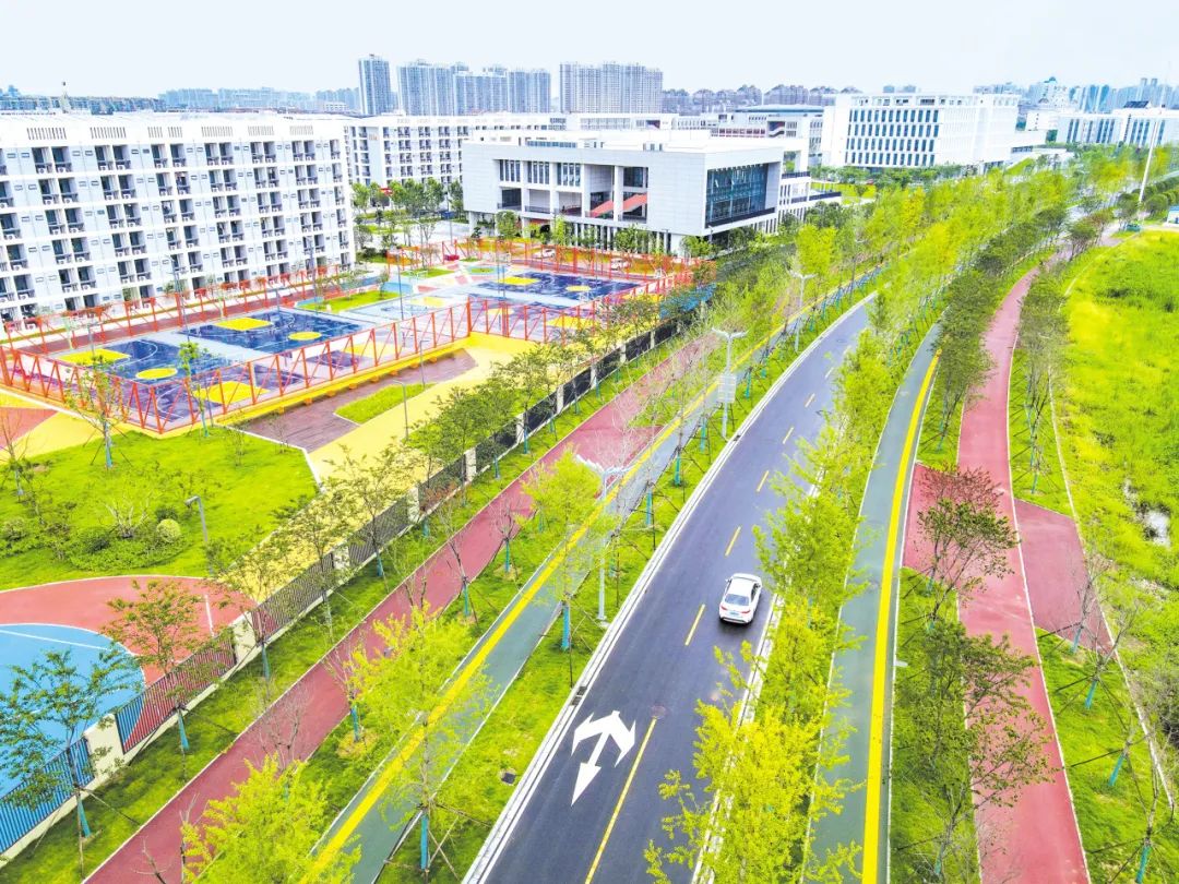 海绵城市_新浪财经_新浪网