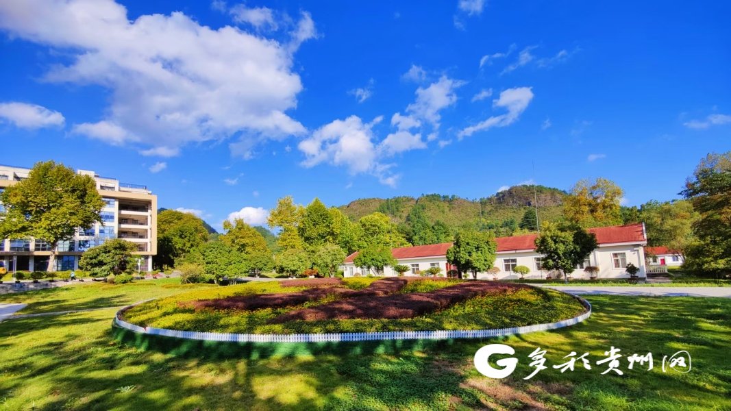 黔南职院:"德技双修" 打造技术技能人才培养高地|高技能人才_新浪财经