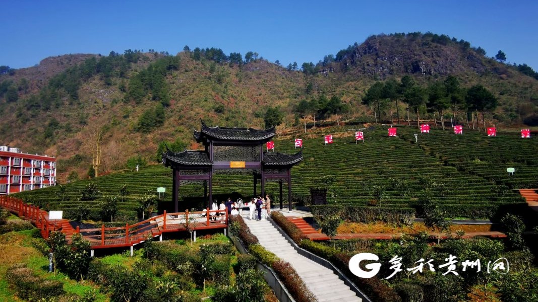 黔南职院:"德技双修" 打造技术技能人才培养高地|高技能人才_新浪财经