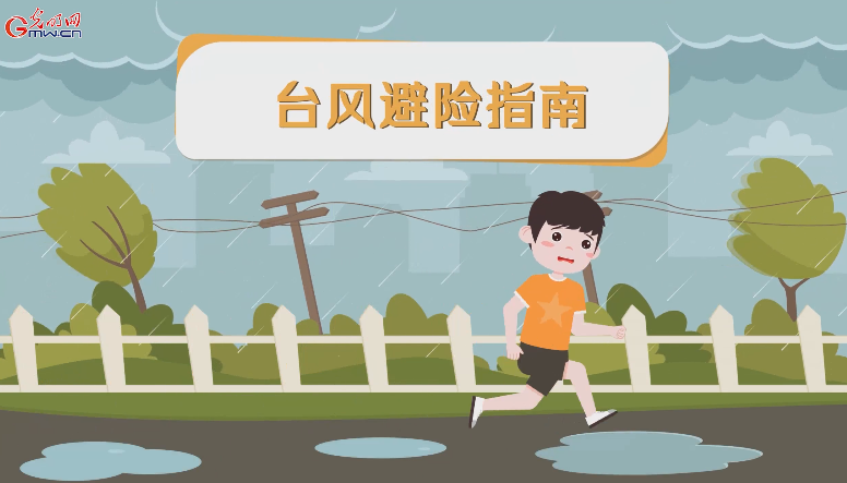 防汛救灾在行动丨【动画】台风"泰利"来袭,这份避险指南请收好_新浪