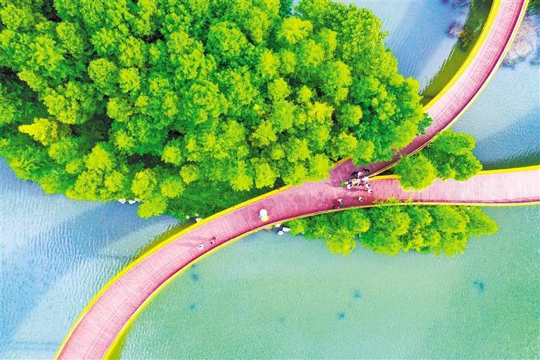 游客在六盘水市钟山区的明湖国家湿地公园栈道上漫步