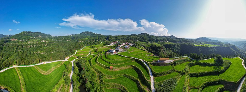 三等奖:《八一村高标准农田》郭旭 &nbsp;摄