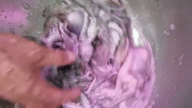 摔拌章鱼。林日清 摄