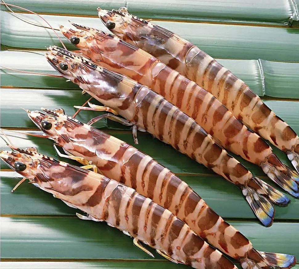 花虾.图片来源网络