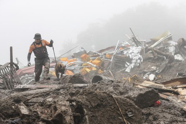 当地时间2023年7月16日，韩国醴泉郡，一名救援人员带着一只搜救犬在暴雨造成的山体滑坡现场搜寻失踪人员。图/视觉中国