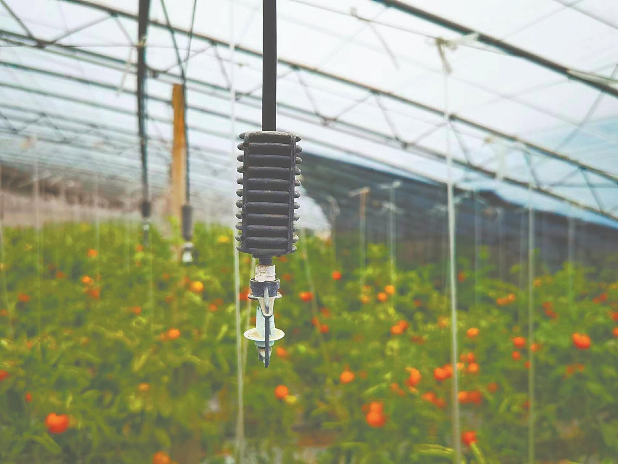 淮北市人口_淮北市_安徽省人民zf(2)