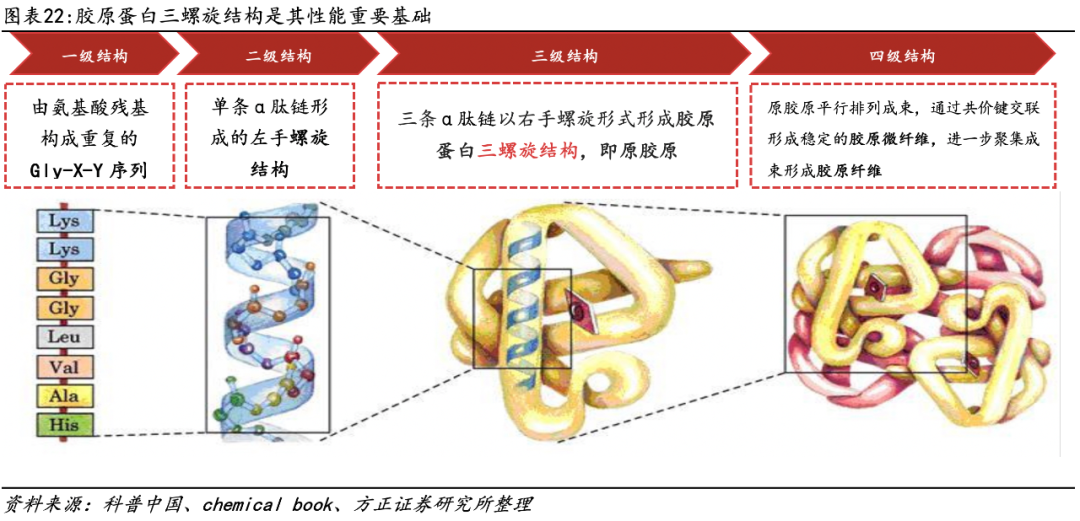 医用生物敷料栓是什么深度 ｜ 锦波生物：重组胶原针剂先发者，商业化加速在即_https://www.jmylbn.com_新闻资讯_第17张