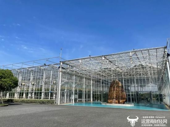 图片上海农科院下属的设施农业崇明基地，阳光透过顶部玻璃洒向植物工厂。摄｜极客公园