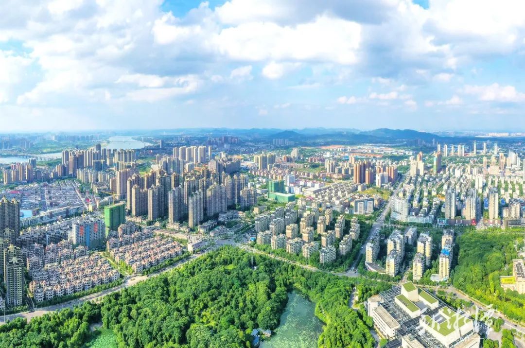 胡贺波主持召开专题会议 分析上半年全市经济形势_新浪财经_新浪网