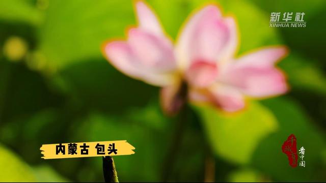 包头市人口_人口状况-包头市人民zf(2)