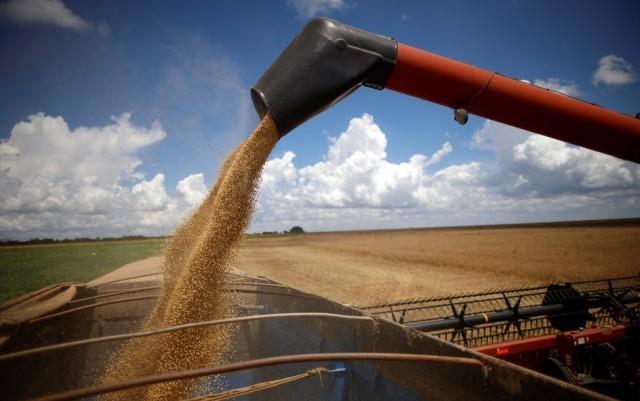 美媒:巴西正从美国手中夺走更多全球大豆贸易份额|巴西_新浪财经_新浪