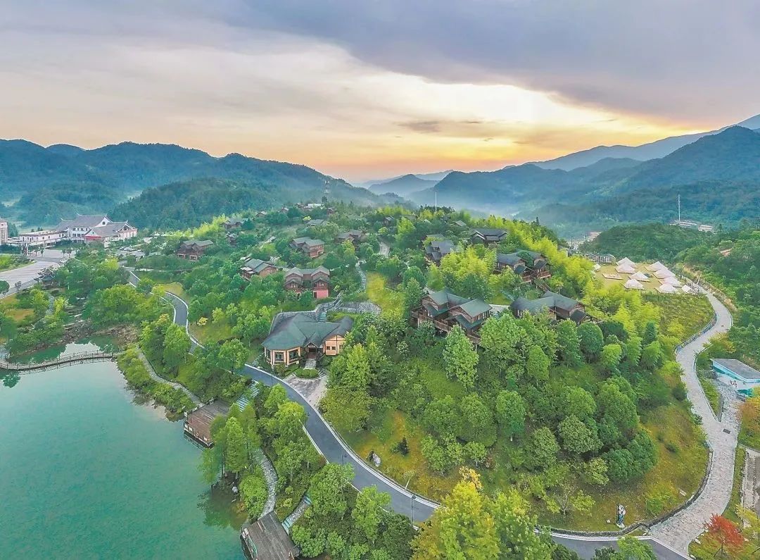 图为德化九仙山森林康养基地.