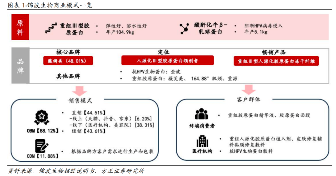 医用生物敷料栓是什么深度 ｜ 锦波生物：重组胶原针剂先发者，商业化加速在即_https://www.jmylbn.com_新闻资讯_第2张