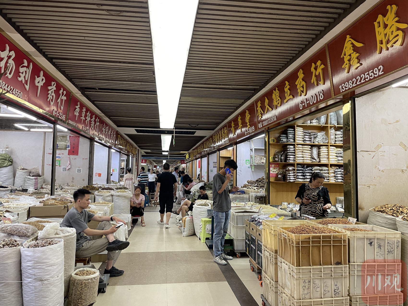 成都荷花池中药材专业市场 燕巧 摄