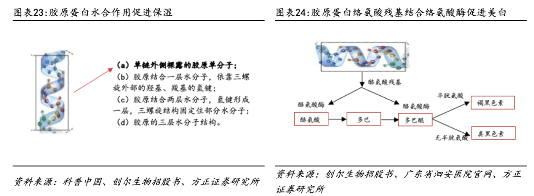 医用生物敷料栓是什么深度 ｜ 锦波生物：重组胶原针剂先发者，商业化加速在即_https://www.jmylbn.com_新闻资讯_第18张