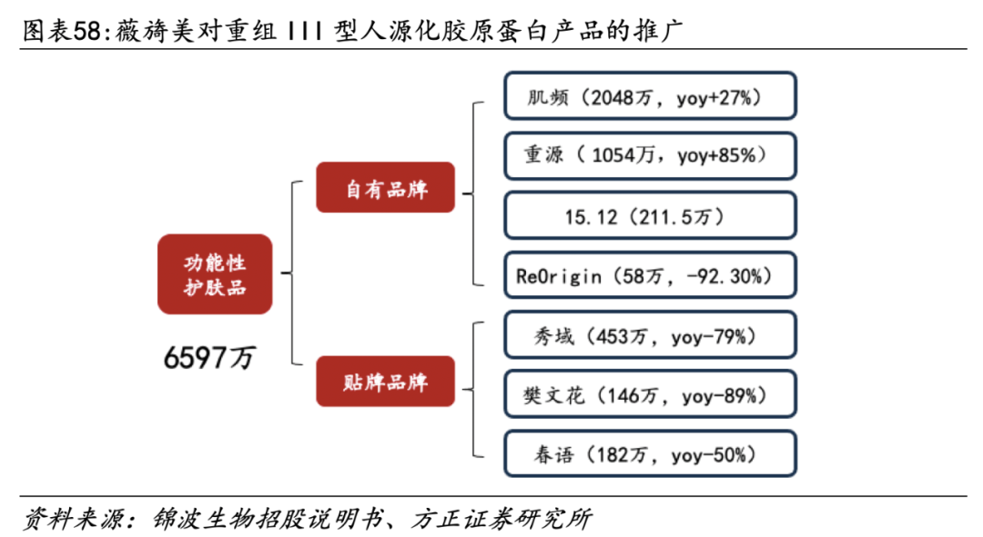 医用生物敷料栓是什么深度 ｜ 锦波生物：重组胶原针剂先发者，商业化加速在即_https://www.jmylbn.com_新闻资讯_第44张