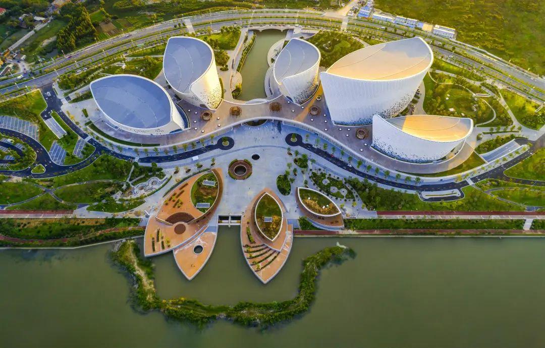 海峡文化艺术中心如茉莉花般绽放.池远 摄