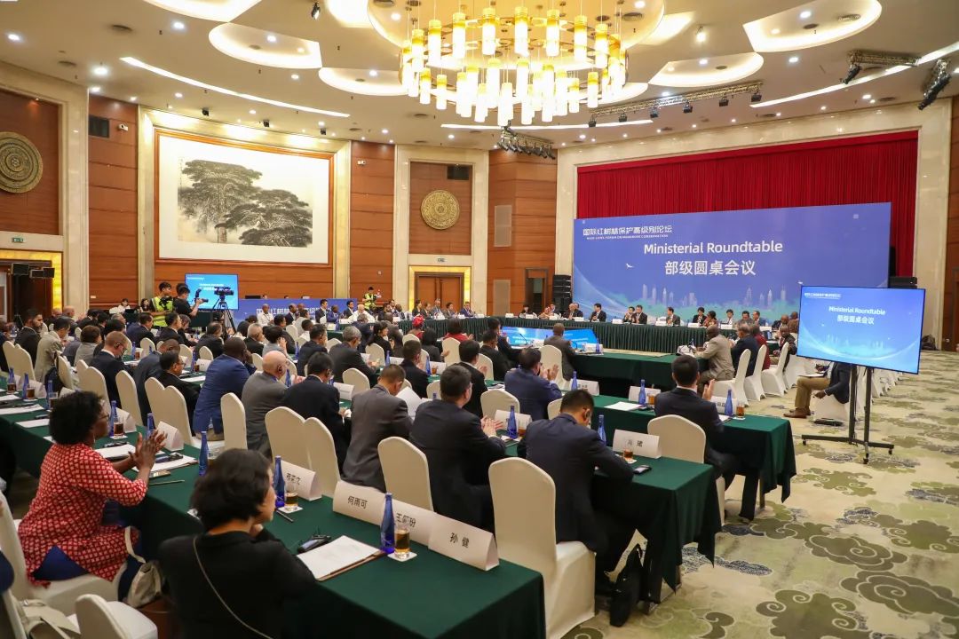 国际红树林保护高级别论坛部级圆桌会议现场(苏天德 &nbsp;邱文杰 摄)