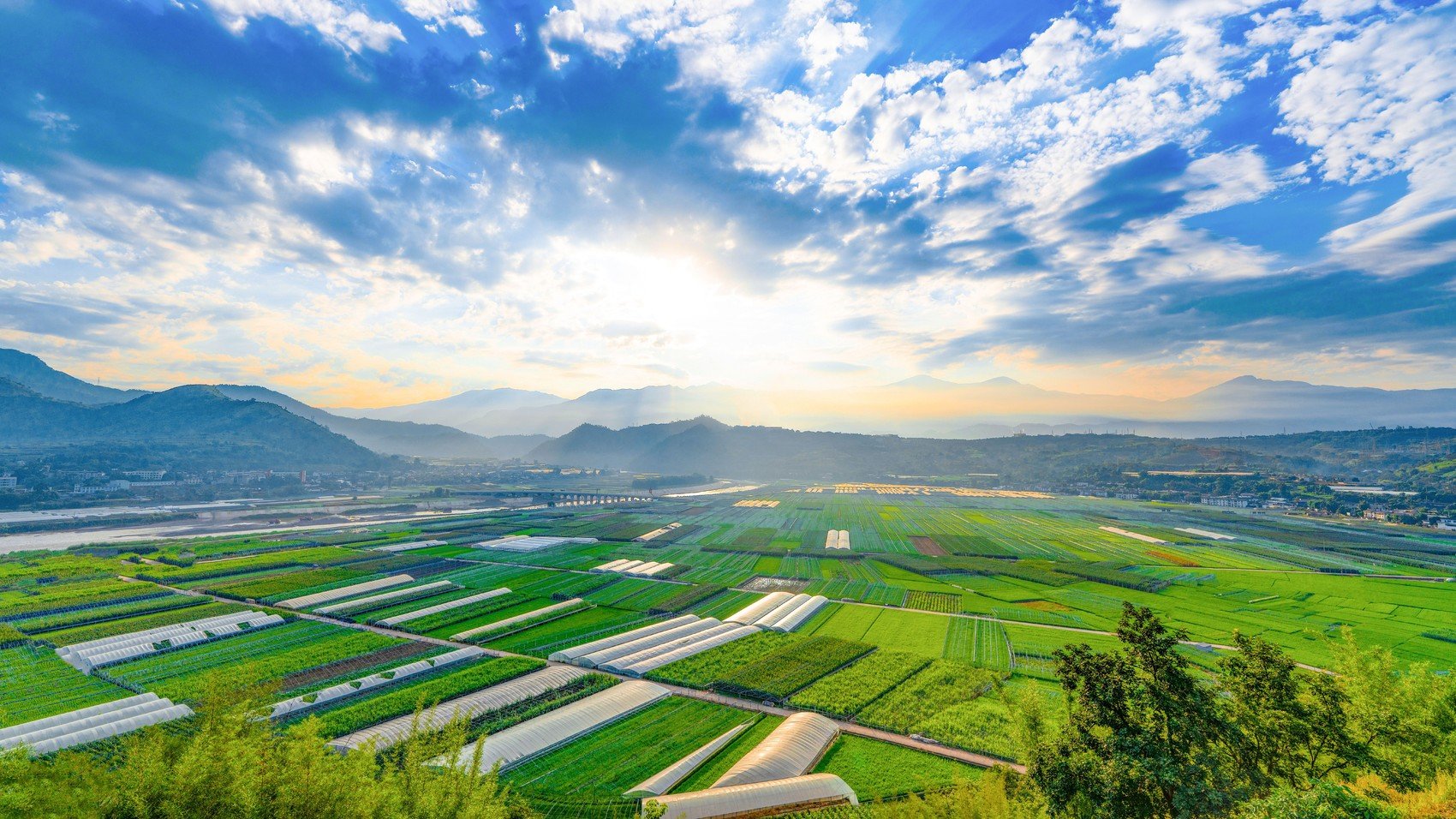 位于安宁河谷的米易县稻菜现代农业园区.攀枝花市委宣传部 供图