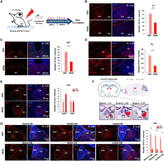 https://doi.org/10.1016/j.neuron.2023.05.010