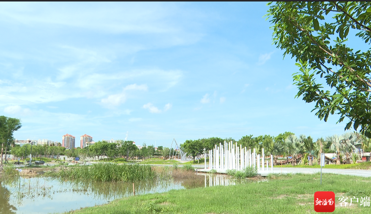 东方福民公园一角.东方融媒体中心供图