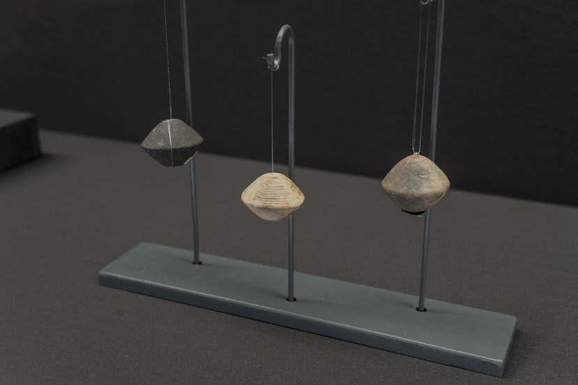 实证中国:崧泽·良渚文明考古特展——玉为神躯:探微5300年前的良 实证中国:崧泽·良渚文明考古特展——玉为神躯:探微5300年前的良
