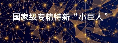 深势科技、佑驾创新、袋鼠云荣膺国家级专精特新“小巨人”