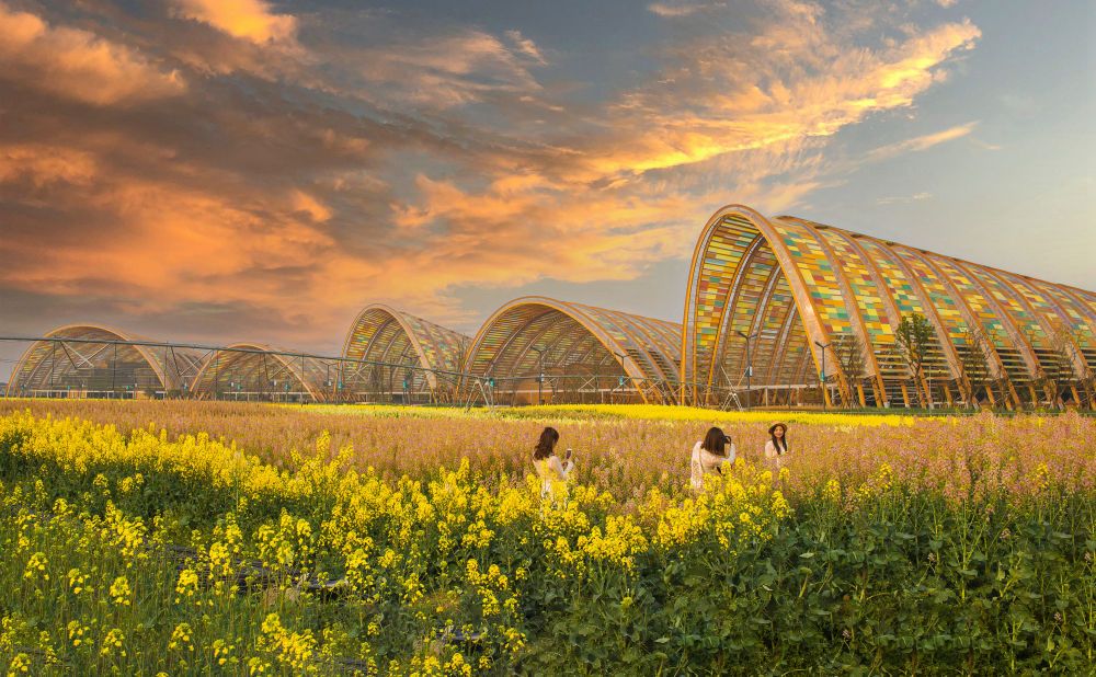 位于新津区的中国天府农业博览园.