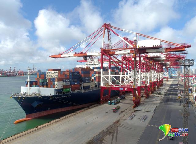 7月27日，在山东港口青岛港前湾联合集装箱码头，数十艘货轮在装卸货物，港口一派繁忙景象。张进刚 摄