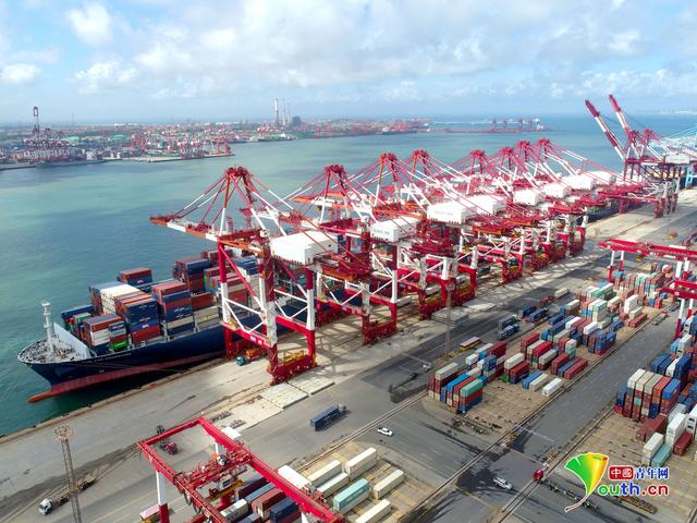 7月27日，在山东港口青岛港前湾联合集装箱码头，数十艘货轮在装卸货物，港口一派繁忙景象。张进刚 摄