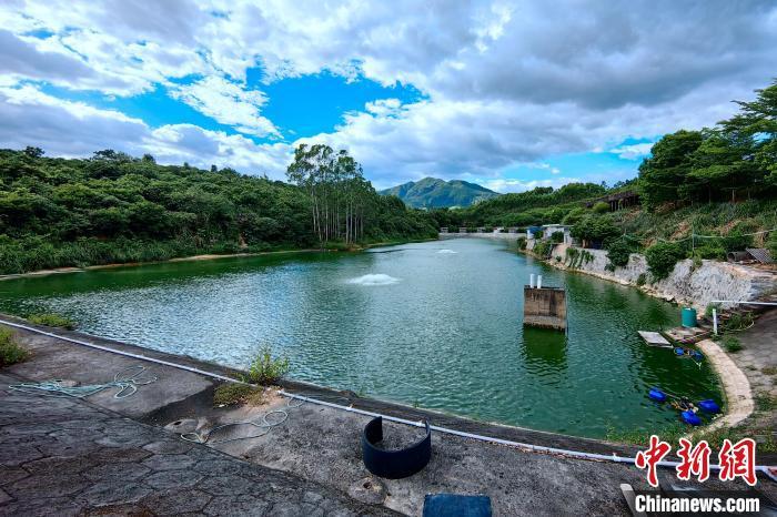 涛摄除了上存水库,枋洋镇还要求辖区内龙津,内田,演柄等和封侯山塘,坑