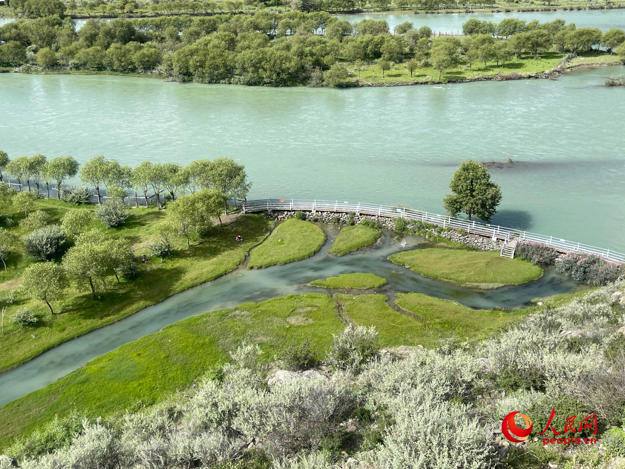 夏日的雅尼国家湿地公园生机盎然,如诗如画.人民网 周静圆摄