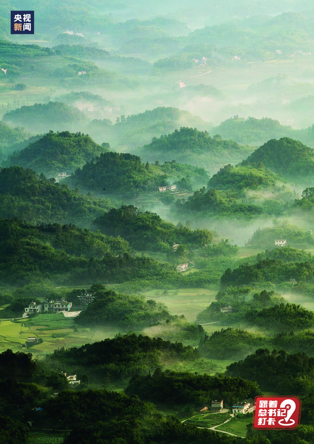 宜宾市蜀南竹海:晨雾中的丘陵