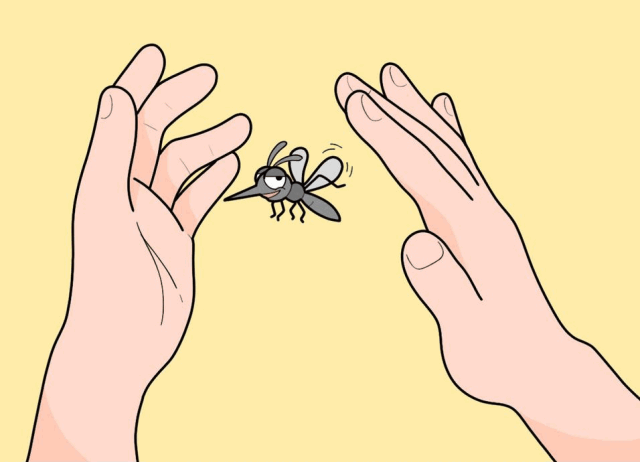 （图片来源丨丁香生活研究所）