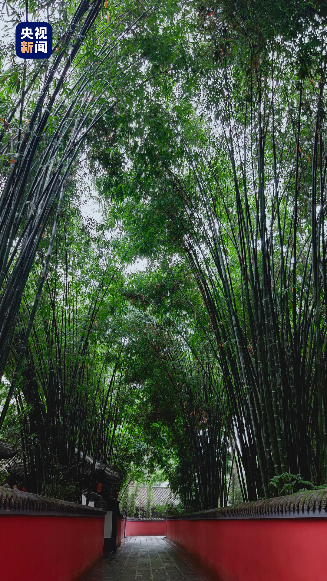 △在成都的生活,是杜甫和家人难得的静好时光,一句“我住锦官城”尽露杜甫对成都的归属感。