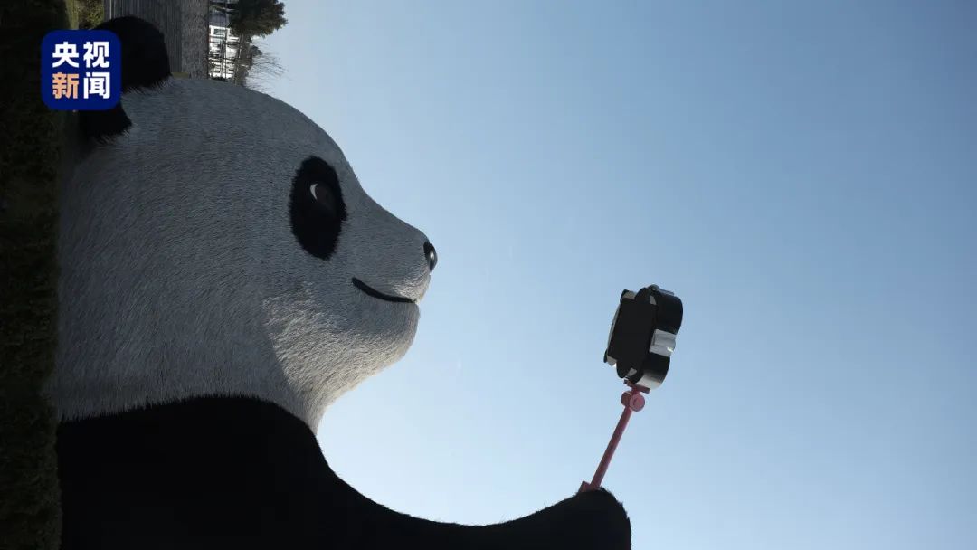 △都江堰水文化广场的“自拍熊猫”