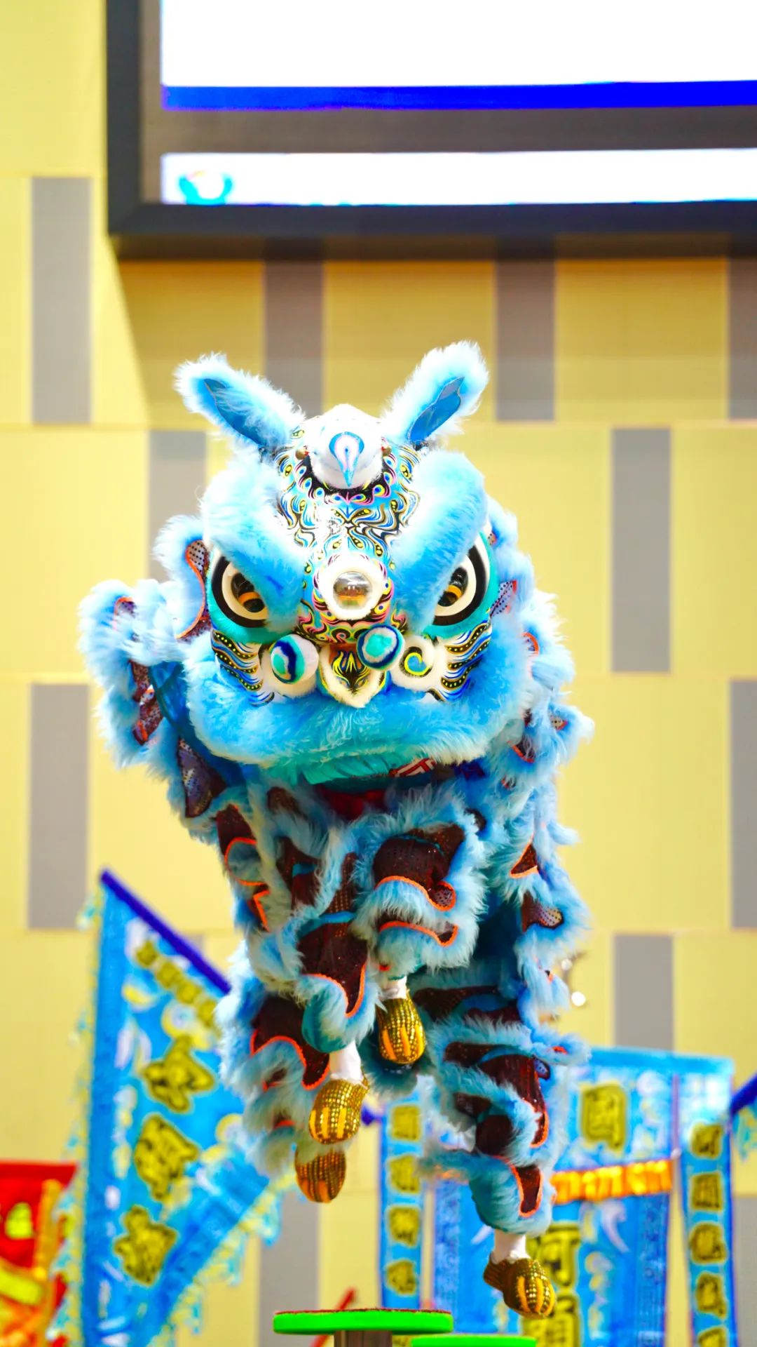 遂溪醒狮 吴东俊 摄