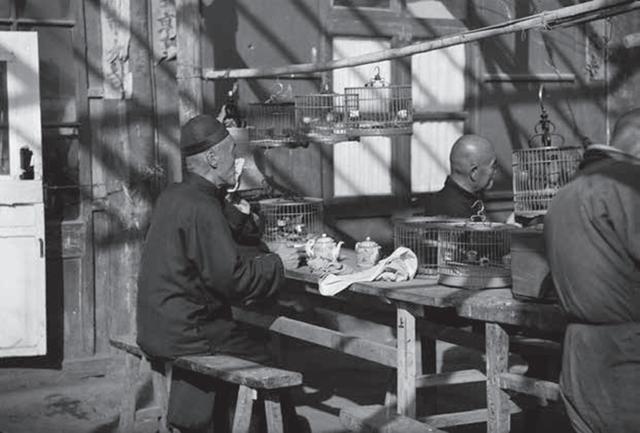 在茶肆歇脚的遛鸟者(《古都漫墨》内页插图).