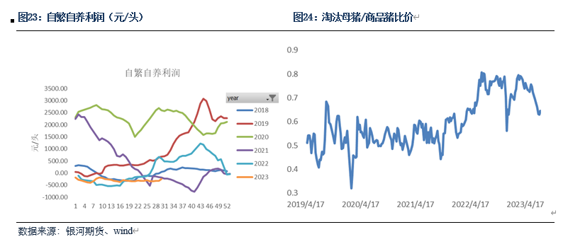 生猪出栏体重持续下滑 猪价迎来阶段性反弹