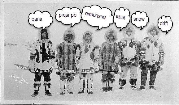 爱斯基摩人用于描述雪的词语有很多 | hamlet hub