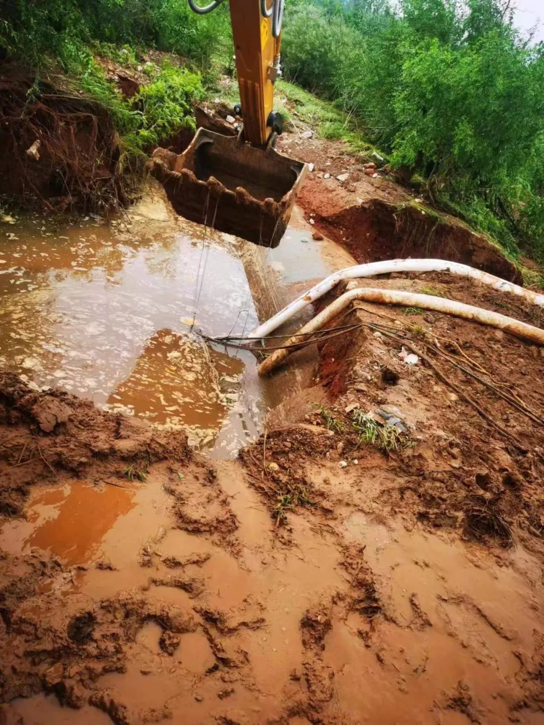 网站建设啥意思_上犹网站建设_网站建设上海