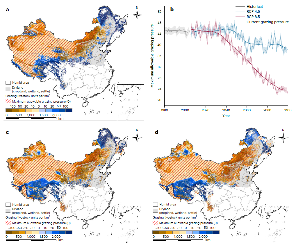 Nature Sustainability 傅伯杰院士团队阐明干旱和放牧共同作用下中国旱区生态系统阈值生态系统新浪财经新浪网 