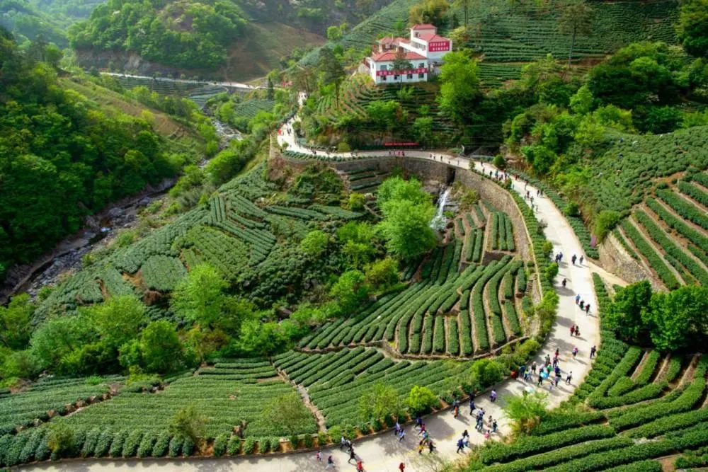 商城县金刚台国家级地质公园西河景区风光.(受访者供图)