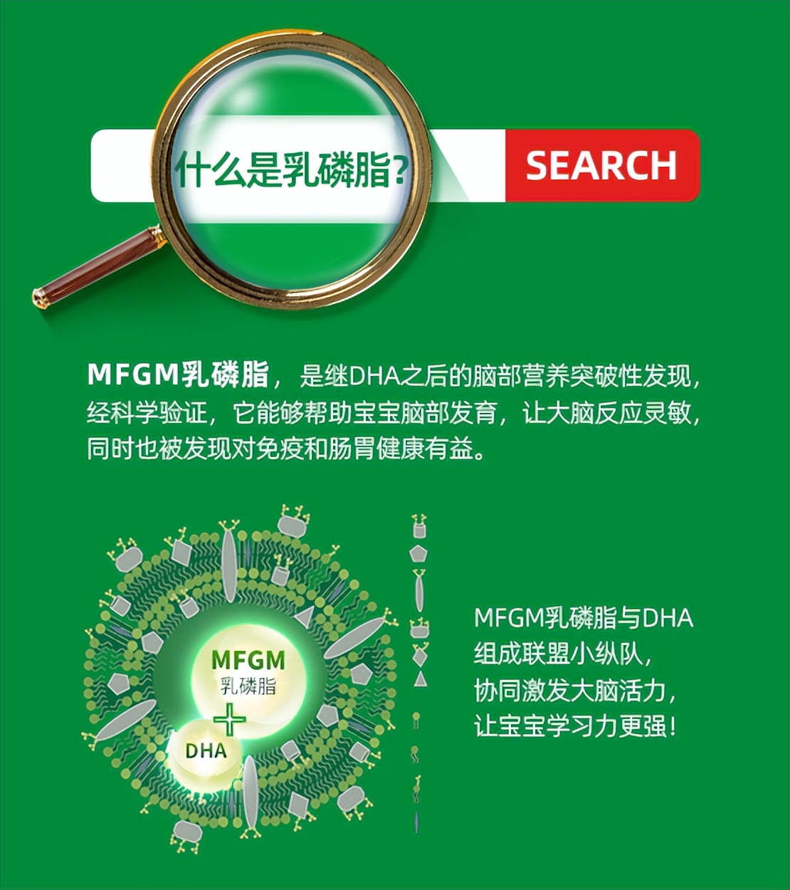 而让大脑变聪明,学习力更强主要有两个大脑营养元素:乳磷脂和dha.