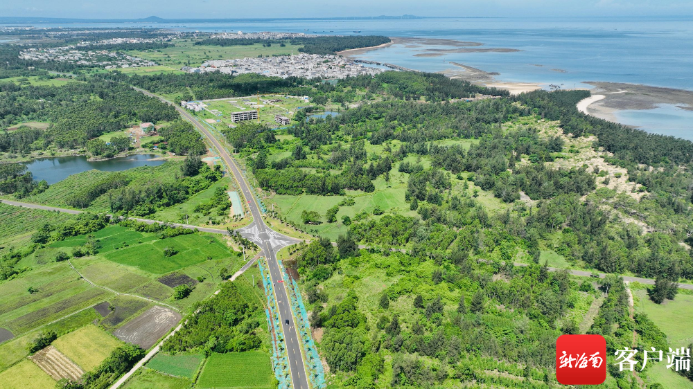 海南环岛旅游公路临高段.黄文杰 摄